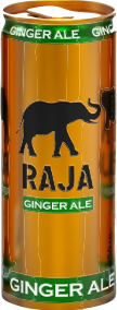 RAJA ENERJİ İÇECEĞİ 250ML